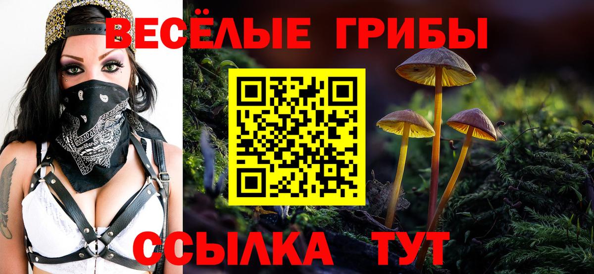 Псилоцибиновые грибы ЛСД Карасук