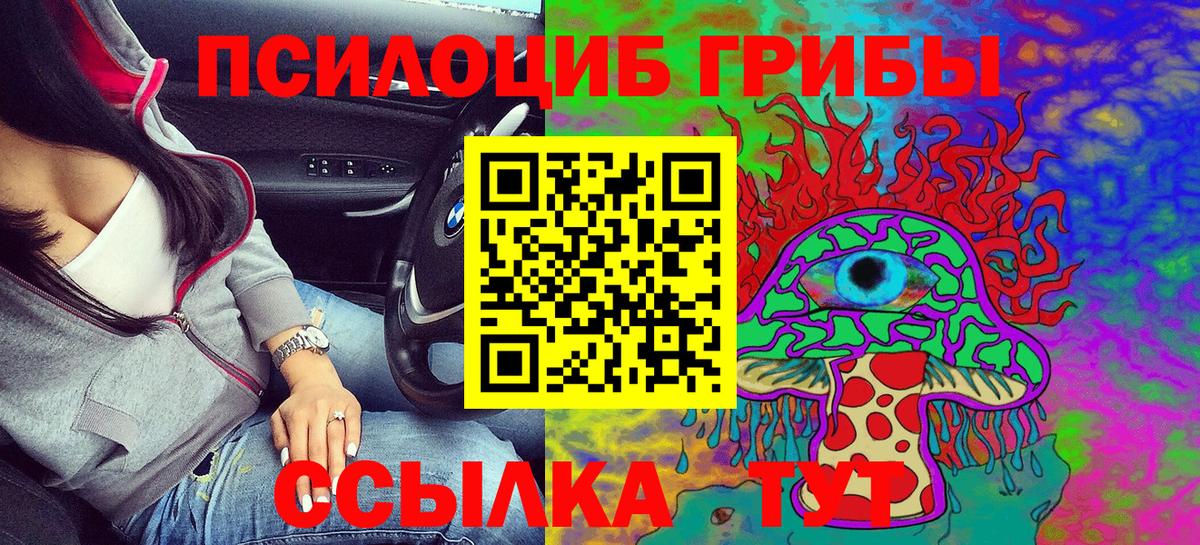 Галлюциногенные грибы Psilocybe  Псилоцибиновые грибы Psilocybine cubensis  Карасук  Вход с VPN 