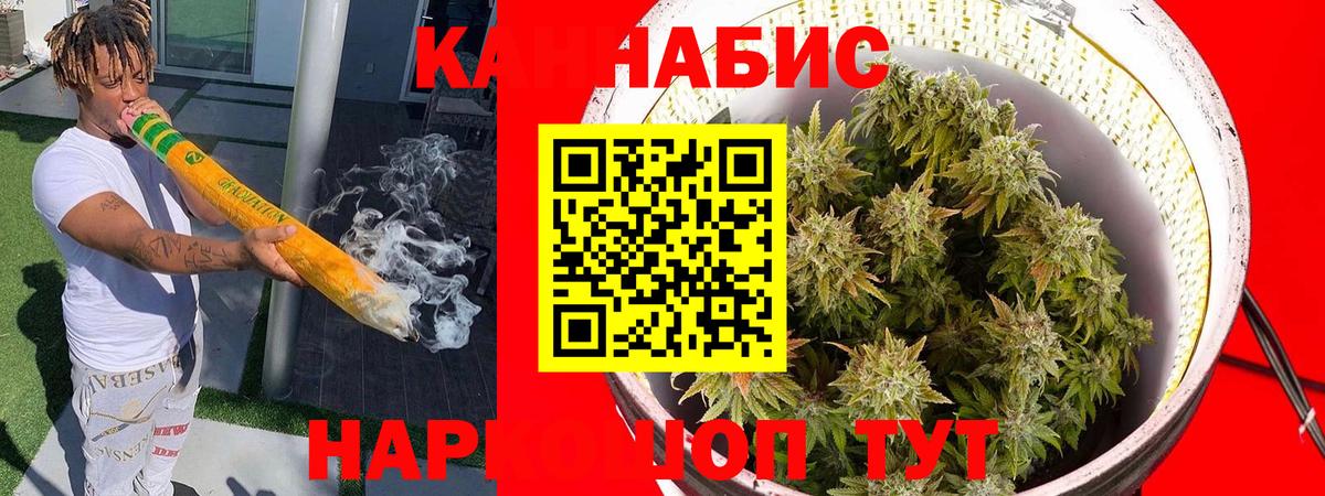 Бошки марихуана ГИДРОПОН Карасук